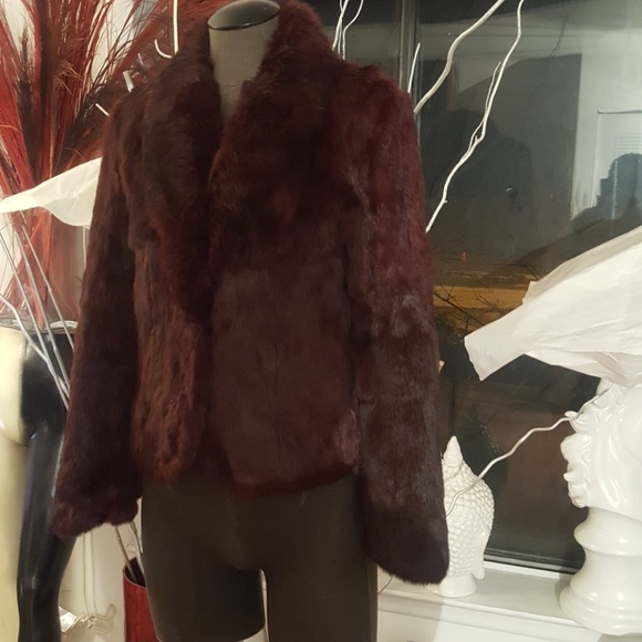 Jacques Saint Laurent For City Fur - Picture 2 of 8